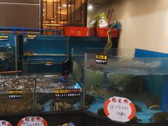 水产区-和乐喜点(宝岗大道店)