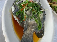 -众味海鲜大排档·活海鲜·潮汕味(南澳店)