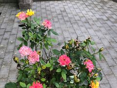 -长安上水缘度假庄园