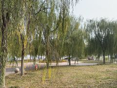 -天津东丽湖风景区