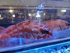 -东富酒家(龙湖西溪天街店)