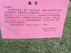 -青枫公园
