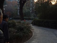 -西安市长乐公园