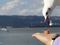 -海埂大坝