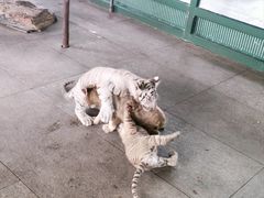 -秦皇岛野生动物园
