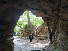 -上海佘山国家森林公园天马山园