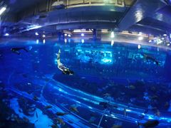 -成都浩海立方海洋公园