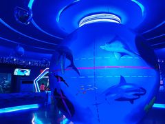 -石家庄海洋公园