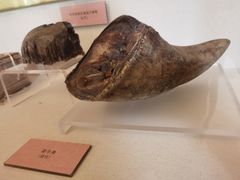 -北京动物园-畅观楼