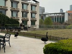 -行者书屋大堂吧 ·下午茶(南京圣和府邸酒店)