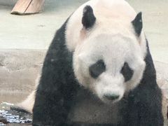 -柳州市动物园
