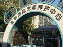 -奈斯宠物医院·核磁CT·异宠专科·内镜(中南店)