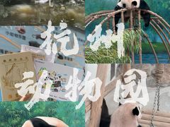-杭州动物园