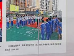 -温鉴良实用咏春拳
