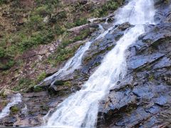 景点-海南热带雨林国家公园吊罗山景区