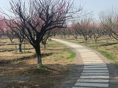 -南湖湿地公园