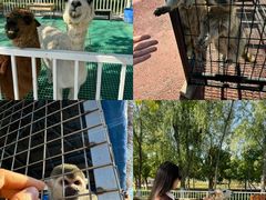 -水上乐园·欢乐世界