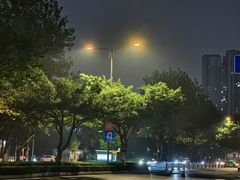 -泰平丽锦酒店(成都太古里春熙路店)