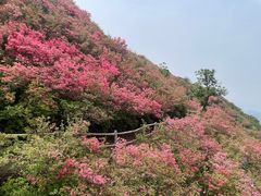 -木兰云雾山
