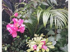 -云溪植物园