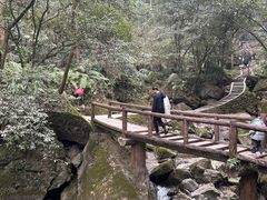 -青城山