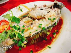-先鲜鲫鱼粥