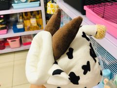 -钓仓鼠(洋桥北里小区店)