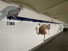 -美国自然历史博物馆