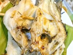 -杨合林啊兰烤鱼