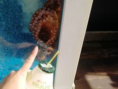 -真情鲍鱼海鲜汤