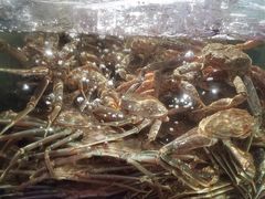 -蟹之国·精品蟹料理(极地店)