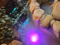 -后湖小院·乡野田园菜