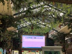 -呀诺达热带雨林