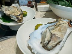 -澳门豆捞(裕华东路店)