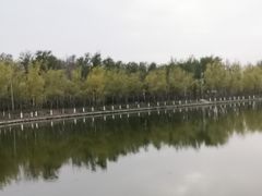 -伊犁河风景区