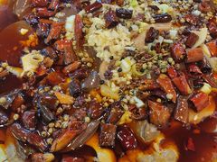 -大家乐东北菜(富河园店)