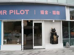 门面-飞行喵MR PILOT|猫舍·猫咖(静安大融城店)