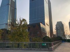 -重庆市江北嘴中央商务区中央公园