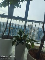 -HEYAN荷妍专业脱毛连锁机构