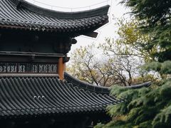 -句容茅山景区