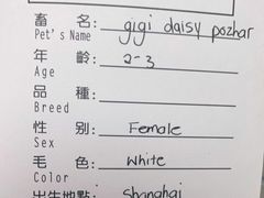 -申普宠物医院·心脏介入·心血管微创(总院)