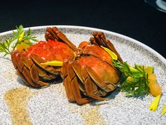 -荣公子创意菜