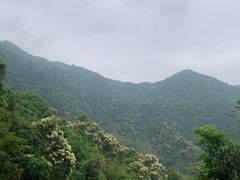 -梧桐山风景名胜区