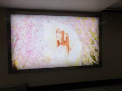 -SNH48星梦剧院
