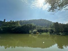 -南沙蒲洲花园