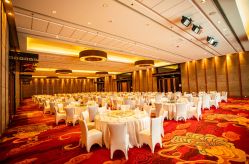 -永泰福朋喜来登酒店-宴会厅