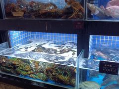 -徐记海鲜(汉城湖|太奥店)