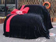 -上海普陀宝诚MINI4S店(红柳路店)