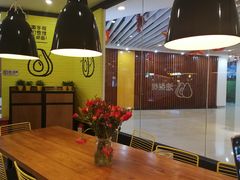 -油梨树 AVOCADO TREE(亮马桥店)