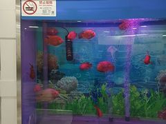 -雅悦齿科(顾村公园店)